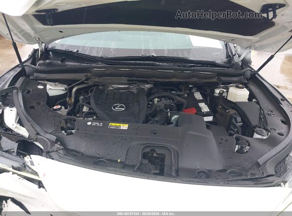 2T2BAMBA5RC025767 2024 LEXUS RX 350 White Вид ззаду