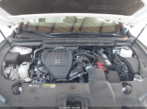 2T2BAMBA5RC036669 2024 LEXUS RX 350 Белый Вид сзади