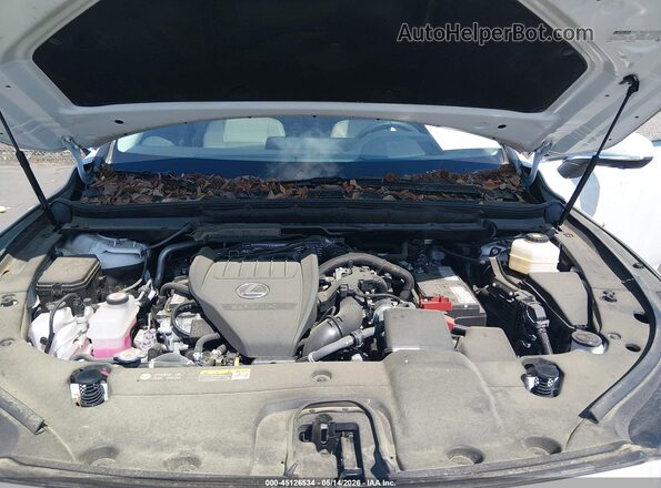 2T2BAMBA9RC023388 2024 LEXUS RX 350 Белый Вид сзади
