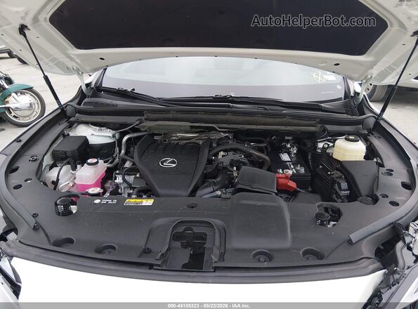 2T2BAMCA1SC110822 2025 LEXUS RX 350 White Vista trasera