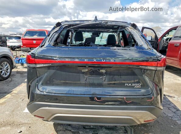2T2BAMCA2RC084760 2024 LEXUS RX Black Rear view