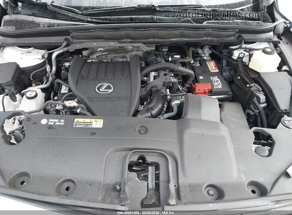2T2BAMCA3RC044106 2024 LEXUS RX 350 White Вид ззаду