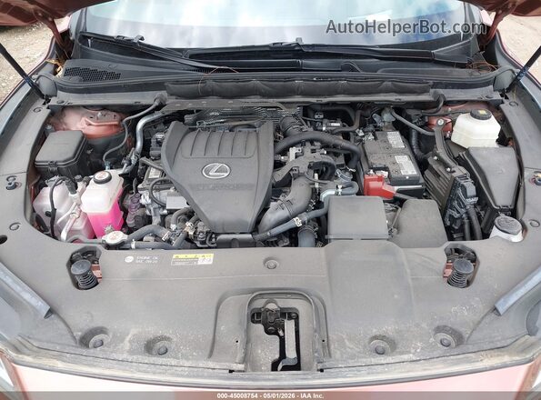 2T2BAMCA4RC060086 2024 LEXUS RX 350 Pink Հետևի տեսք