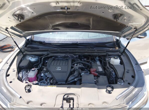 2T2BAMCA5RC042356 2024 LEXUS RX 350 Gray Вид ззаду