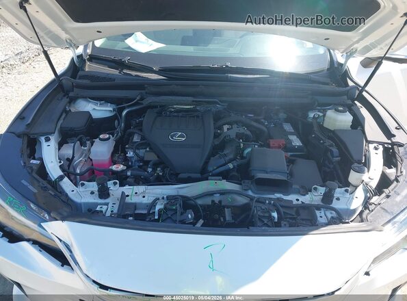 2T2BAMCA5SC097475 2025 LEXUS RX 350 White Հետևի տեսք