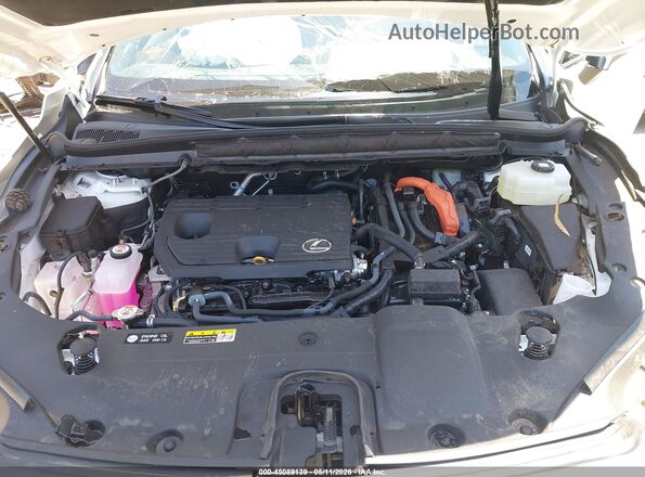 2T2BBMCA2TC113601 2026 LEXUS RX 350H White Հետևի տեսք