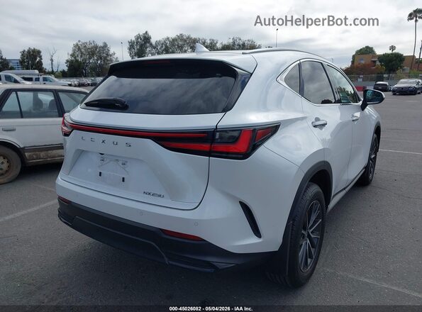 2T2GDCAZ2RC006463 2024 LEXUS NX 250 White Trasero derecho