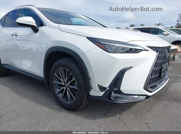2T2GDCAZ2RC006463 2024 LEXUS NX 250 White Vista frontal