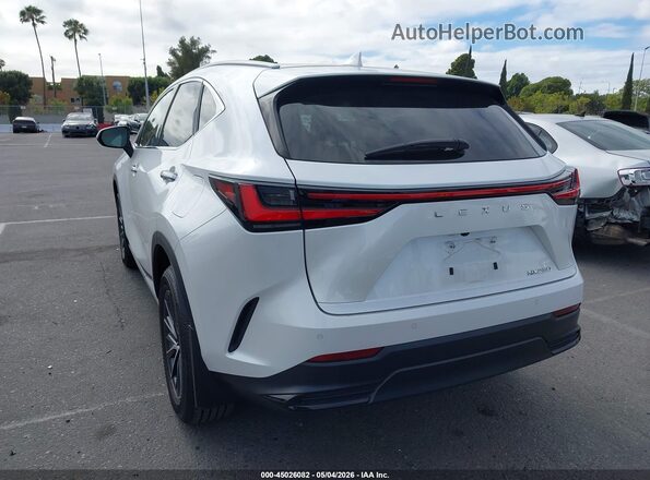 2T2GDCAZ2RC006463 2024 LEXUS NX 250 White Trasero izquierdo