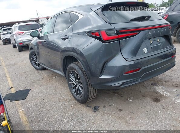 2T2GDCAZ2RC010187 2024 LEXUS NX 250 Gray Trasero izquierdo