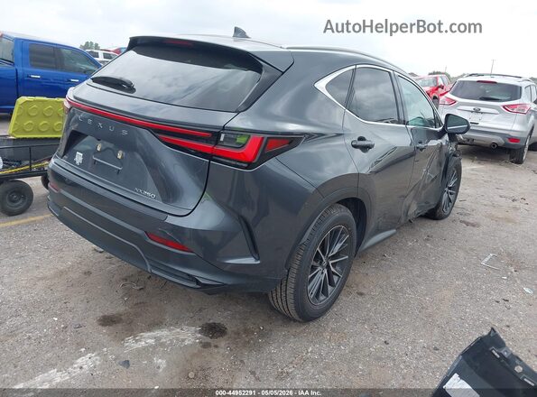 2T2GDCAZ2RC010187 2024 LEXUS NX 250 Gray Trasero derecho