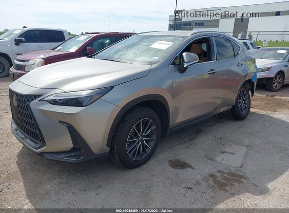 2T2GDCAZ2SC025018 2025 LEXUS NX 250 Gray Առջևի ձախ երեք քառորդ տեսարան