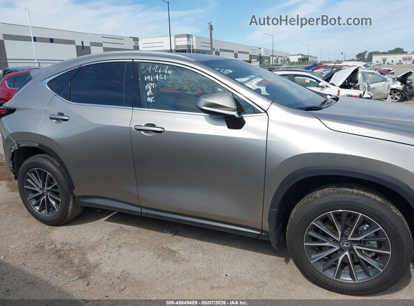2T2GDCAZ2SC025018 2025 LEXUS NX 250 Gray Սալոնի հետևի տեսք