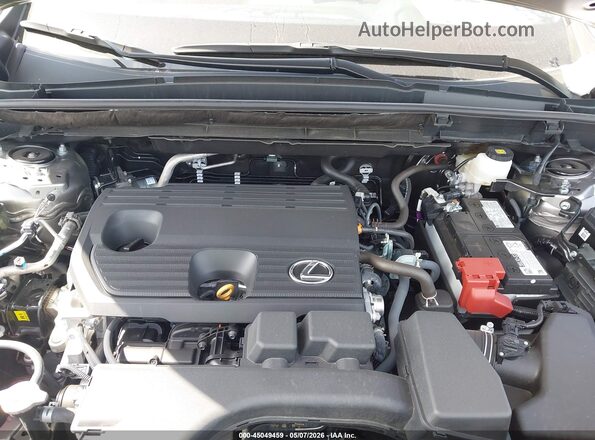 2T2GDCAZ2SC025018 2025 LEXUS NX 250 Gray Հետևի տեսք