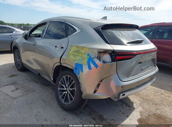 2T2GDCAZ2SC025018 2025 LEXUS NX 250 Gray Հետևի ձախ