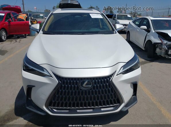2T2GDCAZ4RC012524 2024 LEXUS NX 250 White Vista frontal