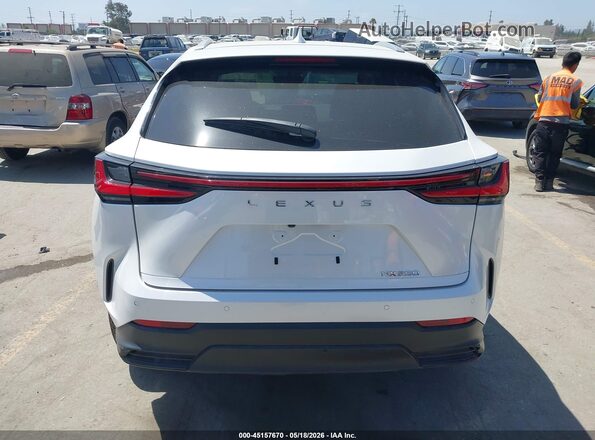 2T2GDCAZ4RC012524 2024 LEXUS NX 250 White 