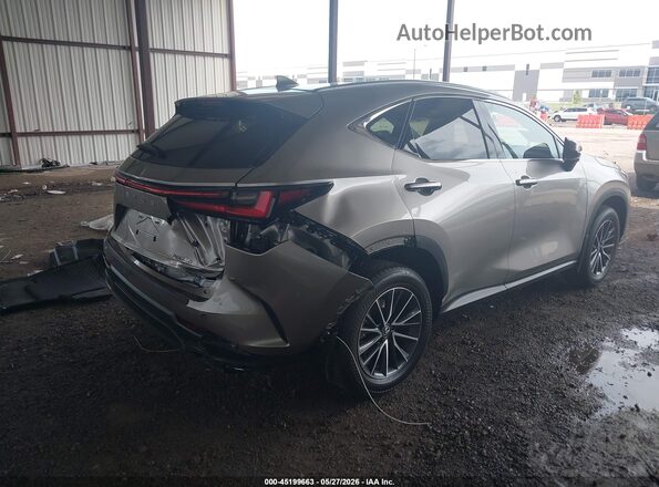 2T2GDCAZ6SC020971 2025 LEXUS NX 250 Champagne Rear right