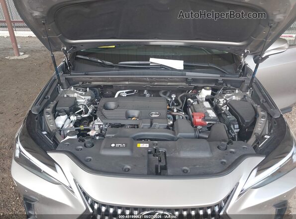 2T2GDCAZ6SC020971 2025 LEXUS NX 250 Champagne Rear view