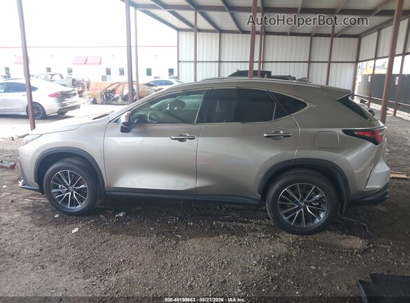 2T2GDCAZ6SC020971 2025 LEXUS NX 250 Champagne 360 interior view