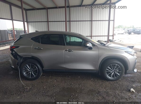 2T2GDCAZ6SC020971 2025 LEXUS NX 250 Champagne Rear interior view