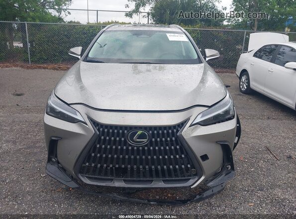 2T2GDCAZ6SC029038 2025 LEXUS NX 250 Бежевый Вид щитка приборов