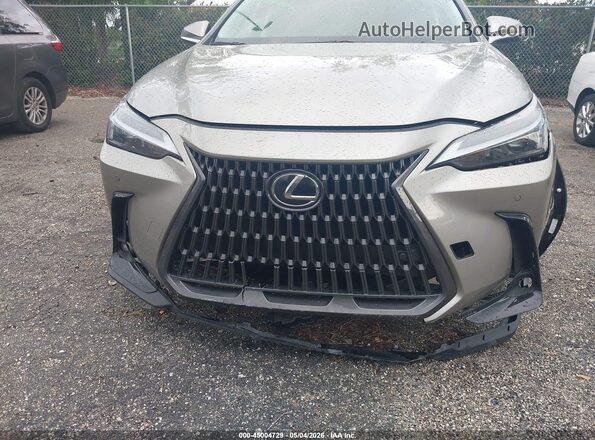 2T2GDCAZ6SC029038 2025 LEXUS NX 250 Бежевый Вид спереди