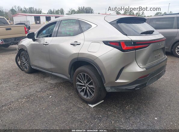 2T2GDCAZ6SC029038 2025 LEXUS NX 250 Бежевый Задняя левая четверть