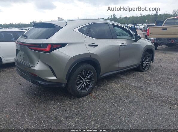 2T2GDCAZ6SC029038 2025 LEXUS NX 250 Бежевый Задняя правая четверть