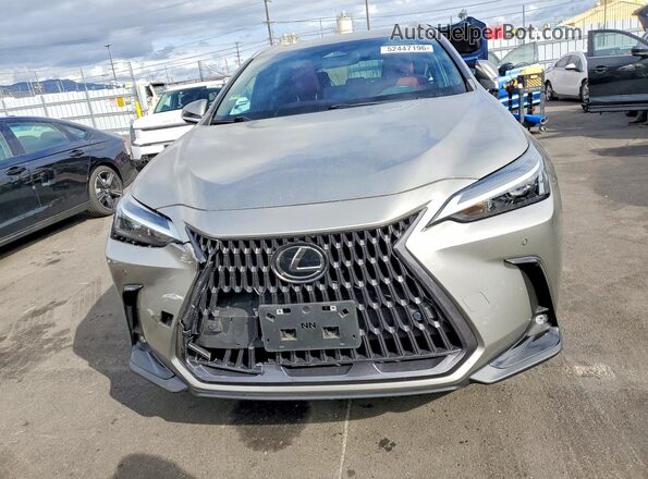 2T2GDCAZ7PC003149 2023 LEXUS NX Gray Vista frontal