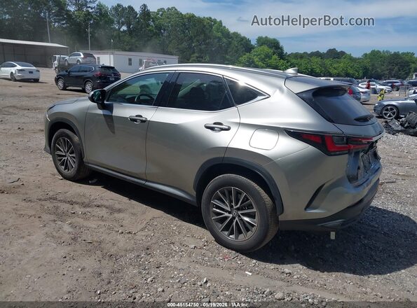 2T2GDCAZXNC001859 2022 LEXUS NX 250 Beige Հետևի ձախ