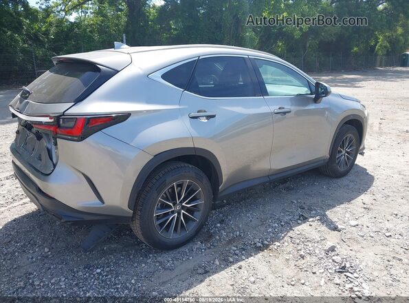 2T2GDCAZXNC001859 2022 LEXUS NX 250 Beige Հետևի աջ
