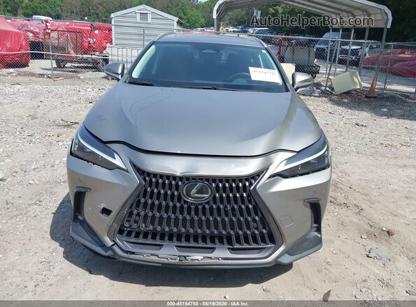 2T2GDCAZXNC001859 2022 LEXUS NX 250 Beige Սարքավորումների վահանակի տեսք