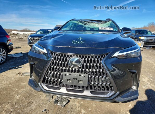 2T2GGCEZ2RC049329 2024 LEXUS NX Black Widok z przodu
