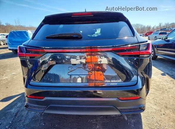 2T2GGCEZ2RC049329 2024 LEXUS NX Black Widok z tyłu