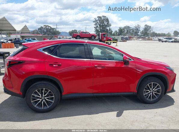 2T2GGCEZ3RC043135 2024 LEXUS NX 350 Red Widok wnętrza z tyłu
