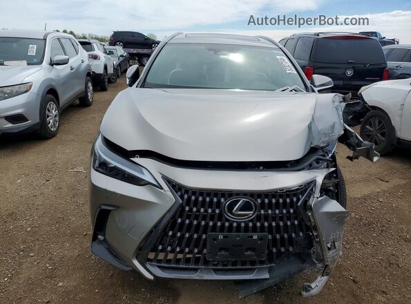 2T2GGCEZ3RC046875 2024 LEXUS NX Gray 