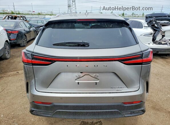 2T2GGCEZ3RC046875 2024 LEXUS NX Gray 