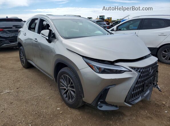 2T2GGCEZ3RC046875 2024 LEXUS NX Gray 