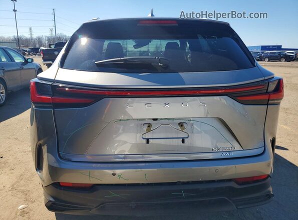 2T2GGCEZ4NC013796 2022 LEXUS NX Silver Rear view