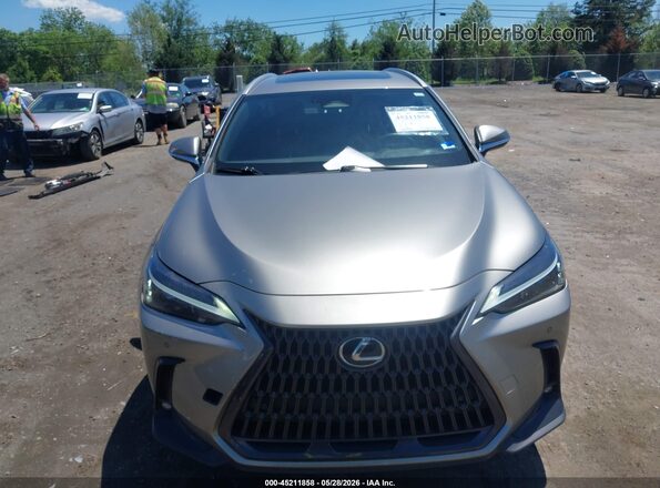 2T2GGCEZ4PC021271 2023 LEXUS NX 350 Gray Widok wnętrza z tyłu