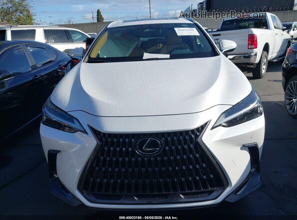 2T2GGCEZ4PC025689 2023 LEXUS NX 350 White უკანა სალონის ხედი