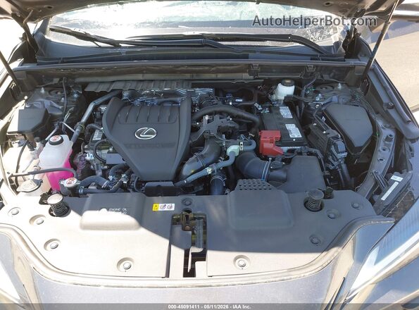 2T2GGCEZ4SC081897 2025 LEXUS NX 350 Gray Rear view