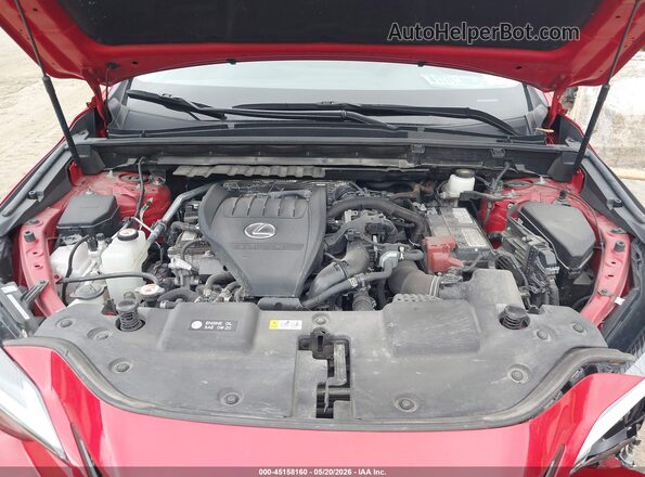 2T2GGCEZ5NC014519 2022 LEXUS NX 350 Red Հետևի տեսք