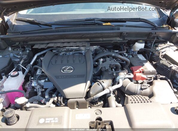 2T2GGCEZ5TC105366 2026 LEXUS NX 350 Gray Vista trasera