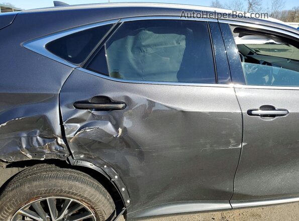 2T2GGCEZ6PC027105 2023 LEXUS NX Серый Вид задней части салона