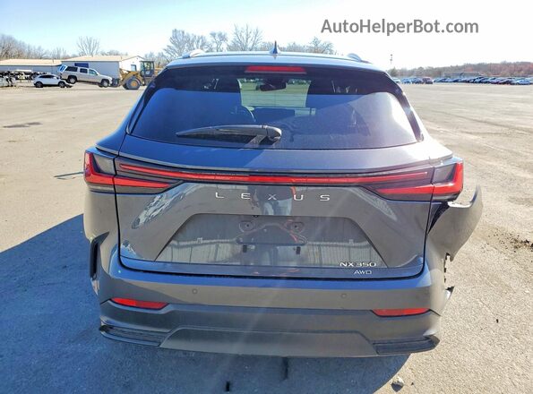 2T2GGCEZ6PC027105 2023 LEXUS NX Серый Вид сзади