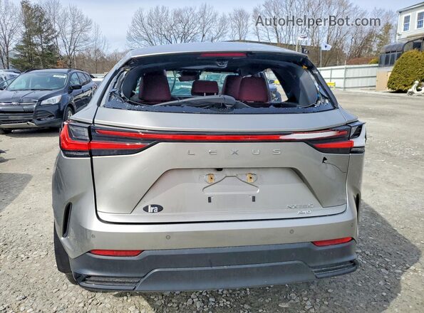 2T2GGCEZ6RC038740 2024 LEXUS NX Beige Widok z tyłu