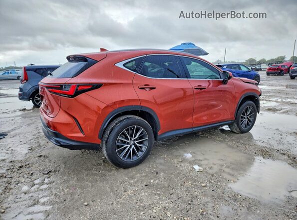 2T2GGCEZ8PC021712 2023 LEXUS NX Burgundy Հետևի աջ
