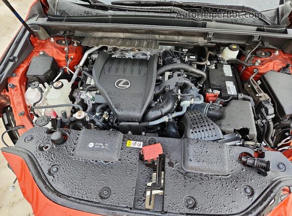 2T2GGCEZ8PC021712 2023 LEXUS NX Burgundy Սալոնի հետևի տեսք